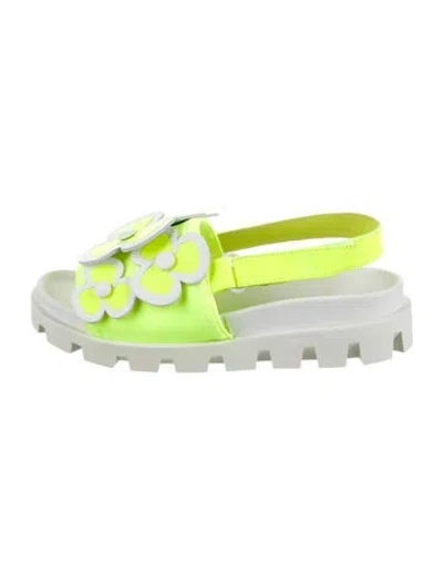 Pre-owned Christian Louboutin Babies' Girls' Floral Sandals In Multi