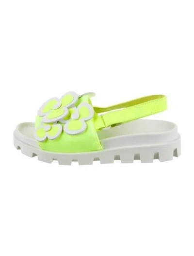 Pre-owned Christian Louboutin Babies' Girls' Floral Sandals In Multi