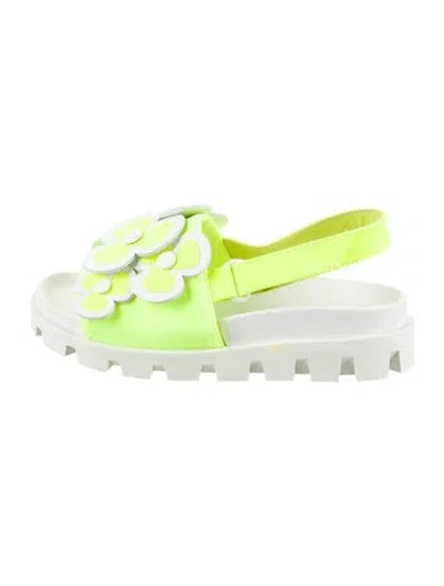 Pre-owned Christian Louboutin Babies' Girls' Floral Sandals In Multi