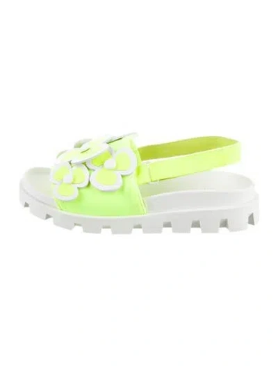 Pre-owned Christian Louboutin Babies' Girls' Floral Sandals In Multi