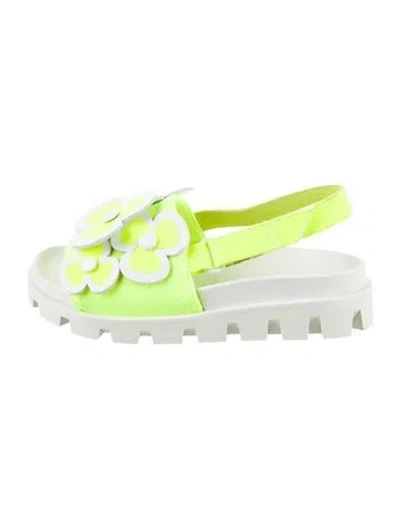 Pre-owned Christian Louboutin Babies' Girls' Floral Sandals In Multi