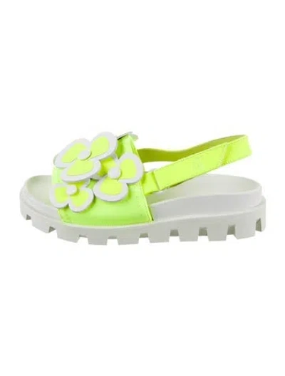 Pre-owned Christian Louboutin Babies' Girls' Floral Sandals In Multi