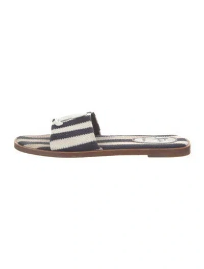 Pre-owned Christian Louboutin Printed Slides In Blue
