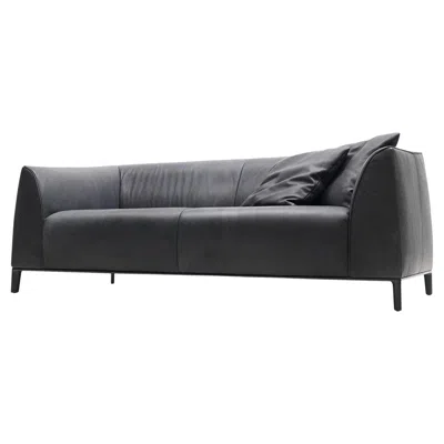 Pre-owned Christian Werner De Sede Ds-276/23 Two-seat Sofa In Natural Umbra Leather By  In Black