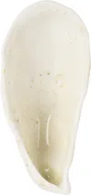 Christina Iversen Studio Off-white Oyster Salt Dish In White
