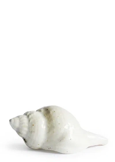 Christina Iversen Studio Shell Decoration