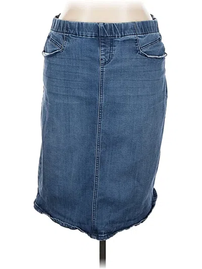 Pre-owned Christopher & Banks Denim Skirt In Blue