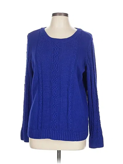 Pre-owned Christopher & Banks Pullover Sweater In Blue