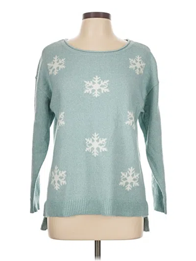 Pre-owned Christopher & Banks Pullover Sweater In Blue