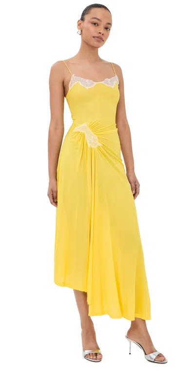 Christopher Esber Delphin Lace Rib Cami Dress Zest/white In Multi