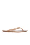 Christopher Esber Jo Pvc Flip Flops In Brown