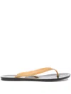 Christopher Esber Jo Jelly Flip Flop Sandals In Brown