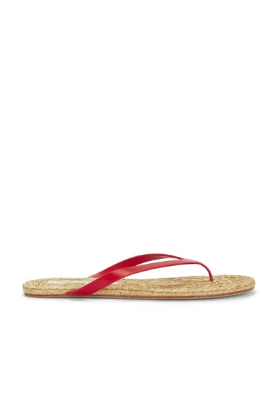 Christopher Esber Palma Flip Flop In Red