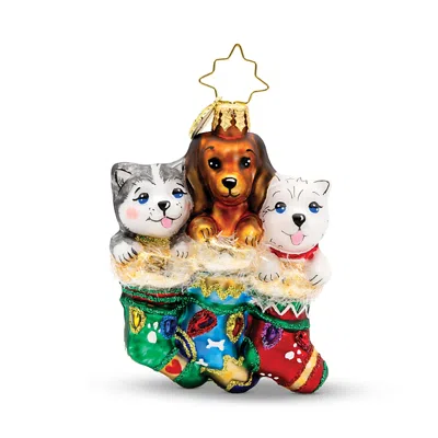 Christopher Radko Puppy Presents Glass Ornament In Multi