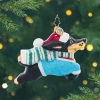 Christopher Radko Santa Paws In Multi