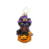 Christopher Radko Witchy Whiskers Gem In Multi