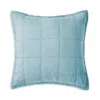 Christy Laundered Cotton Euro Sham In Blue