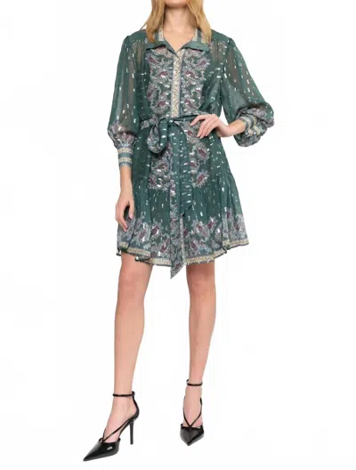 Christy Lynn Emi Dress In Resenda Paisley In Green