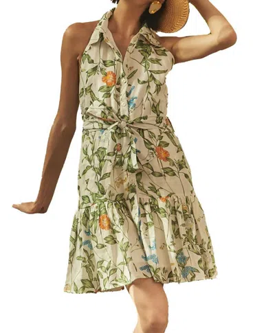 Christy Lynn Steffi Mini Dress In Rose Of Sheron In Multi