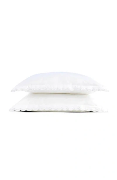 Christy Scallop Edge Luxury Cotton Sateen Oxford Style Pillow Sham Pairs