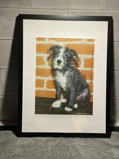 Pre-owned Chrome Hearts Exclusive  Dog Wall Art In Multicolor