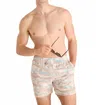Chubbies Day Trips 5.5" Classic Swim Trunks In Khaki Landscape In Multi