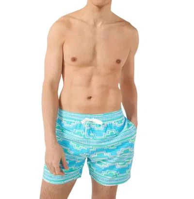 Chubbies The Apex Swimmers Swim Trunks In Multi