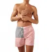 Chubbies Lined Classic Swim Trunk In The Mericas In Multi