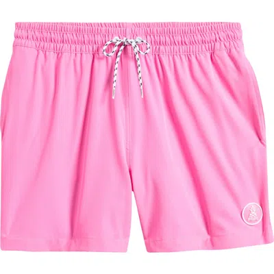 Chubbies Nacho Tacos Magic Classic Lined 5.5-inch Swim Trunks In Bright Pink