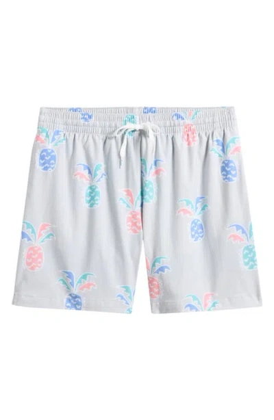 Chubbies Prickle Down Economics Swim Trunks In Multi