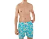Chubbies The Apex Swimmers Swim Trunks In Multi
