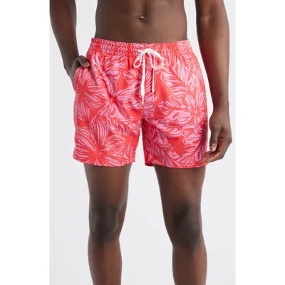Chubbies Raz-matazz 5.5-inch Swim Trunks