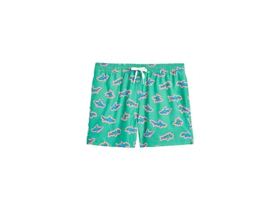 Chubbies The Apex Swimmers (boys Lined Swim Trunk) (big Kid) Boy's Swimwear Mint Green/pattern Base : Xs (6/7