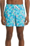 Chubbies The Apex Swimmers Swim Trunks In Multi