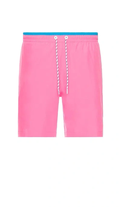 Chubbies The Avalons 7 Swim Short In Pink