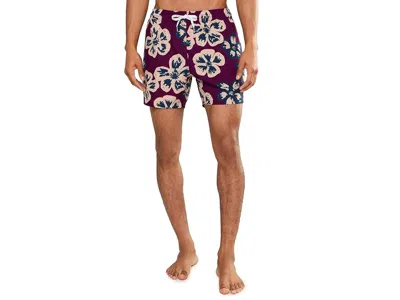 Chubbies The Berry Botanica 5.5 (classic Lined Swim Trunks) Men's Swimwear Dark Purple: 2xl, Polyester/spande