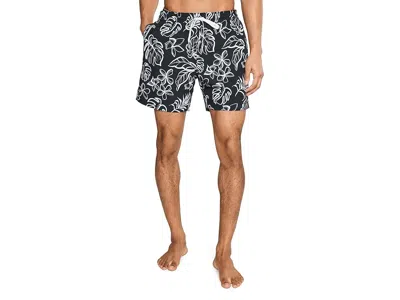 Chubbies The Briefly In Paradise 5.5 (classic Lined Swim Trunks)
