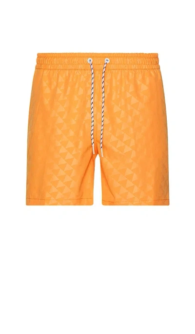 Chubbies The Carrot Cakes 5.5 Swim Short