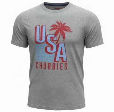 Chubbies The Chub-spangled Banner T-shirt Mens Gray Graphic Cotton Ups1379