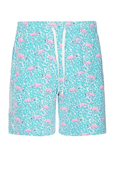 Chubbies The Domingos Are For Flamingos 7 Swim Short In 鲜蓝色