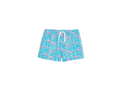 Chubbies The Domingos Are For Flamingos (boys Lined Swim Trunk) (big Kid) Boy's Swimwear Bright Blue/pattern 