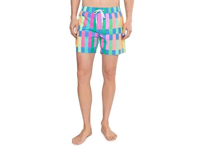 Chubbies The Easygoers 5.5 (classic Lined Swim Trunks) In Multi