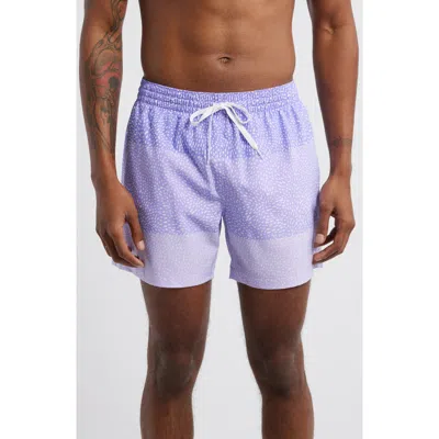 Chubbies The Gem Whale Sharks Classic 5.5-inch Swim Trunks In Bright Purple