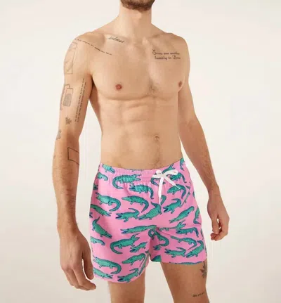 Chubbies The Glades 5.5" Stretch Classic Swim Trunk In Pink Alligator