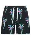 CHUBBIES THE HAVANA NIGHTS 5.5 SWIM SHORT