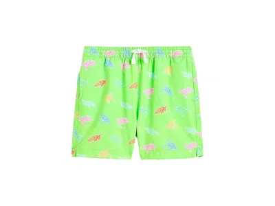 Chubbies The Lil Turtally Awesome (toddler/boys Swim Trunk) (infant/toddler/little Kid) Boy's Swimwear Bright In Green