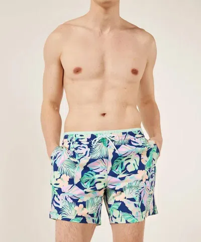 Chubbies The Night Faunas 5.5" Trunk In Navy Leaf In Multi