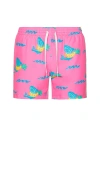 Chubbies The Pineapple Floaters 5.5 Swim Short