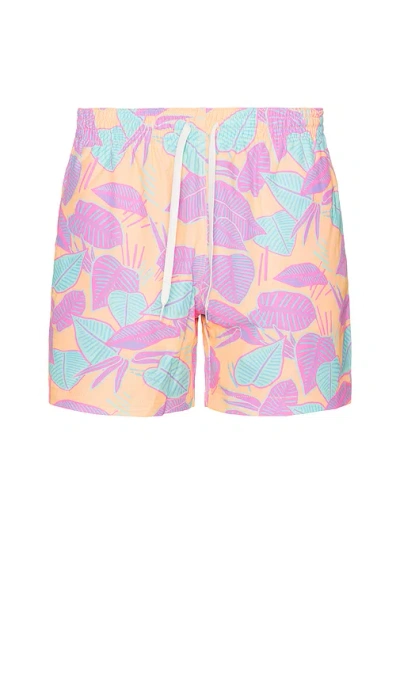 Chubbies The Posh Palms 5.5 Swim Short