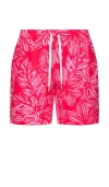 Chubbies The Raz-matazz 7 Swim Short In Red